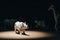White toy rhinoceros under spotlight with animals at background