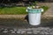 White trash can labeled yard waste full of plant debris on an asphalt road by a curb