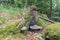 White tree fungus on a overgrown stone with moss