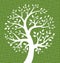 White Tree icon on Green Canvas texture