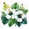 White Tropical Hibiscus Flowers: Mystic Symbolism In Striped Arrangements