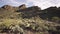 White Truck drives at the West Gate Pass Road at Tucson Mountain Park