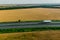 White truck on the higthway among the wheat fields. cargo delivery driving on asphalt road