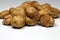 White truffles Tuber oligospermum