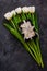 White tulip flowers and black gift box on dark background flat lay. Place for text 8 March Happy Womens Mothers Day