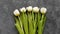 White tulip flowers on dark grey background flat lay 4K video top view. Happy Birthday Mom, 8 March
