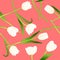 White Tulip on Pink Background. Vector Illustration