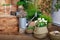 White tulips flowers in a basket. interior of spring yard. Rustic terrace. Veranda in spring decor. Closeup of flower pots with pl