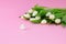 White tulips and heart shaped stone on pink background. Side view. Floral love background