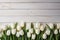 White tulips isolated on white wooden background, Ai generated