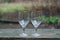 white two big glass crystal goblets