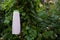 White unlabelled cosmetic bottle, on a green natural background, grass, moss with branches of greenery. Eco friendly cosmetology