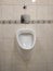 White urinal, pissoir on wall