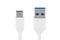 White USB-C charging data cable, type C male to type A male. 3D