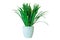 White vase artificial green grass realistic for decoration creative design office home working restuarant