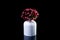 white vase with red flowers in ice with reflection, black background isolated