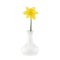 White vase with single daffodil narcissus isolated on white with clipping path
