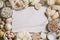 White vegetables and mushrooms, rice, quinoa, legumes, white peppercorns, coconut oil around a white marble cutting board on a