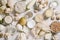 White vegetables and mushrooms, rice, quinoa, legumes, white peppercorns, coconut oil on a white background. Healthy eating and