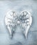 White vintage angels wings