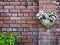 White vintage flowerpot hanging on old brick wall background