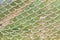 White vintage rope net texture is on green grass background