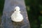 White vintage toy duck on wooden bench