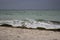 White walking seagull against storm on sea. Wild birds concept. Seagull on sand beach in hurricane day.