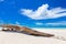 White washed beach driftwood on white sand with blue sky and clouds