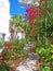 white washed building with blue sky green palms and bright red flowers in the caribbean