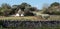 White washed conical roofed building in a field on a farm in the area of Cisternino / Alberobello in Puglia Italy