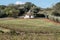 White washed conical roofed building in a field on a farm in the area of Cisternino / Alberobello in Puglia Italy