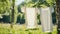 White washed laundry hangs on a line in the beautiful nature in the summer sunshine