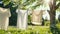 White washed laundry hangs on a line in the beautiful nature in the summer sunshine