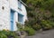 White-washed, stone cottage surrounded by Red Valerian, Cadgwith, Cornwall, England