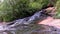 White water flowing over rocks in small river