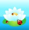 White water-lily with funny ladybird