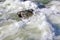 White Water in the Payette River, Idaho