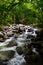 White water tumbles over a very rocky riverbed through a wooded forest area