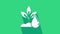 White Watering plant icon isolated on green background. Seed and seedling. Irrigation symbol. Leaf nature. 4K Video
