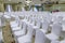 White Wedding Chairs