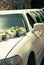 White wedding limousine decorated with flowers