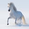 white welsh pony pictures