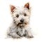 White West Highland Terrier puppy on a white background. Cute digital watercolour for dog lovers