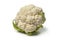 White whole cauliflower close up