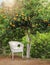 White wicker chair under orange fruit tree