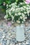 White wild delicate flowers in a vase