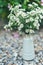 White wild delicate flowers in a vase