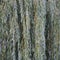 White willow tree salix alba branches, large detailed vertical textured foliage pattern closeup, green branch texture in detail