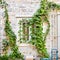 White window. Green ivy plant climb on old white stone brick wall background
